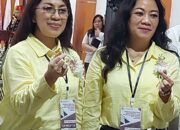 Jika Dipercayakan Pimpin Tomohon, Miky-Cherly Bilang Pembahasan APBD Bersama Rakyat