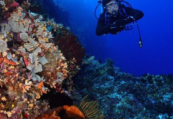 Menikmati Bawah Laut Spektakuler di Perairan Mahoro, Siau