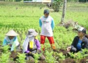 Diyakini Bisa Majukan Tomohon, Akar Rumput Golkar Jagokan Miky Wenur